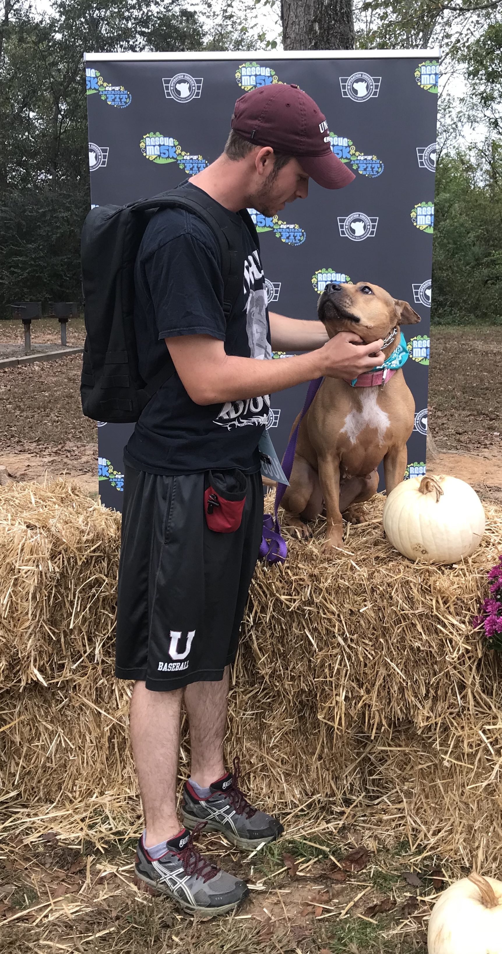 Getting Yourself and Your Home Ready for New Dog Backcountry K9